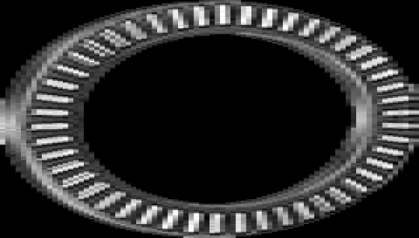 Thrust needle roller bearings